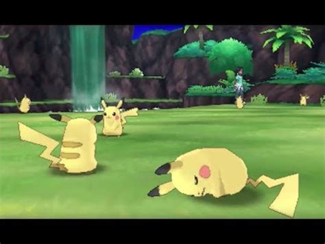 pikachu valley location|Pikachu Valley Quiz Answers .
